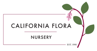 California Flora Nursery Logo