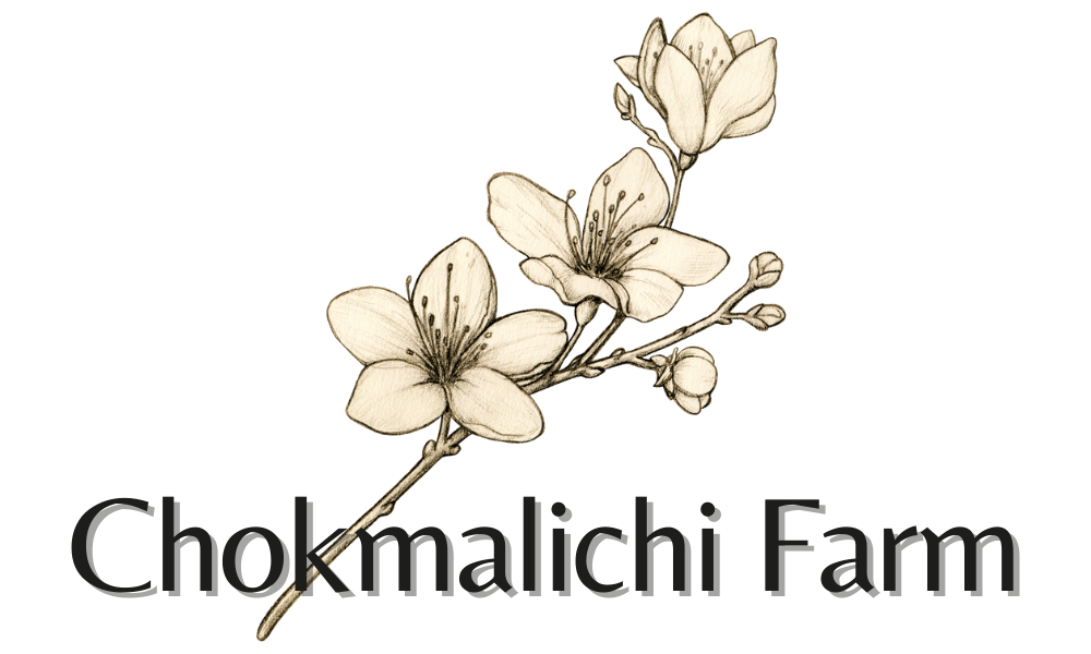Chokmalichi Farm Logo